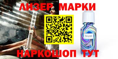 шишки Новозыбков