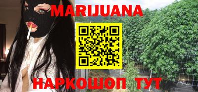 шишки Новозыбков