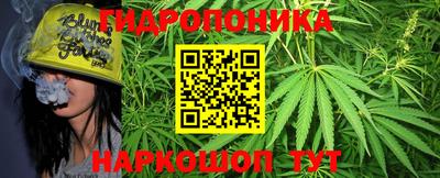 PSILOCYBIN Новокубанск