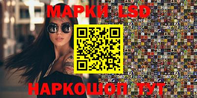 шишки Новозыбков