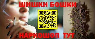 шишки Новозыбков