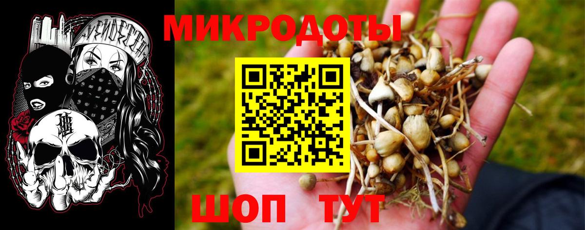 Галлюциногенные грибы прущие грибы  Псилоцибиновые грибы Magic Shrooms  Вход с VPN  Удомля 